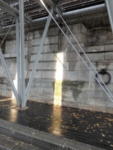 DSCF1109.JPG
