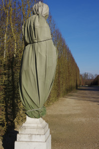 IMGP0159.JPG