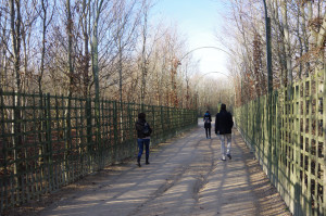 IMGP0160.JPG