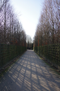 IMGP0162.JPG