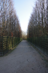 IMGP0163.JPG