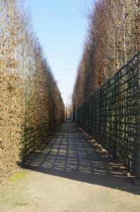IMGP0166.JPG