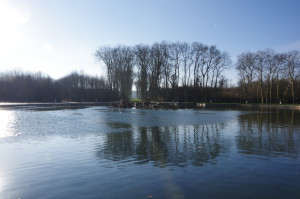 IMGP0175.JPG