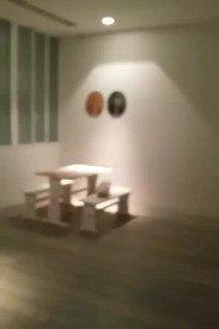 QuickCam_1450719221996.mp4