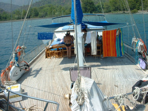 DSCF0037-1.JPG
