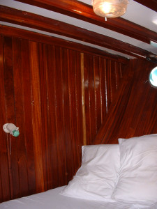 DSCF0038.JPG