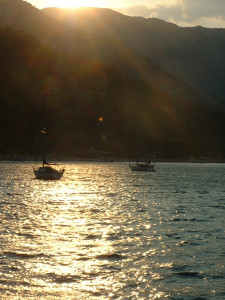 DSCF0062.JPG