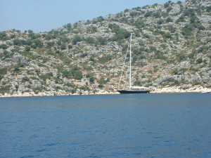 DSCF0078-1.JPG