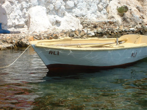 DSCF0090.JPG