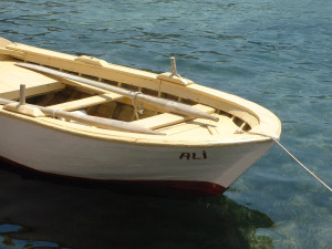 DSCF0092.JPG