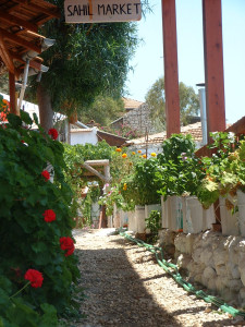 DSCF0093.JPG