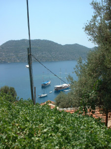 DSCF0095.JPG