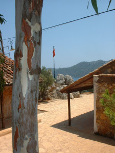 DSCF0097.JPG