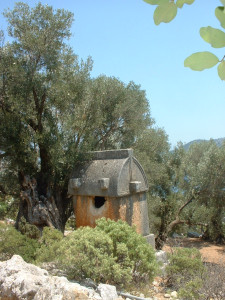 DSCF0107.JPG