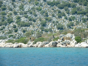 DSCF0116.JPG