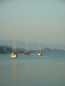 DSCF0128.JPG