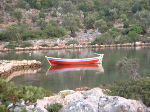 DSCF0132.JPG