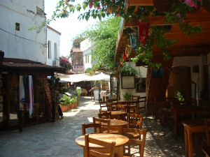 DSCF0142.JPG