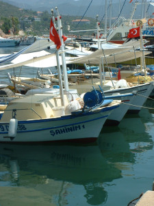 DSCF0152.JPG