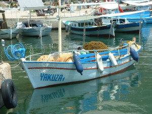 DSCF0153.JPG