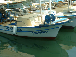 DSCF0154.JPG