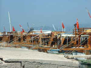 DSCF0167.JPG