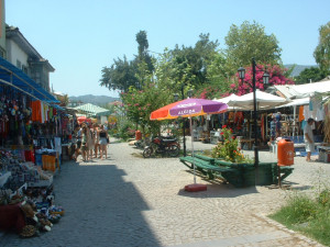 DSCF0188.JPG