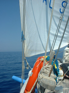 DSCF0193.JPG