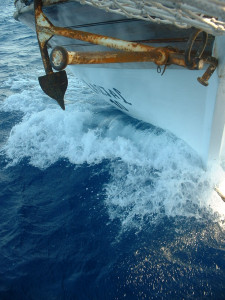 DSCF0204.JPG