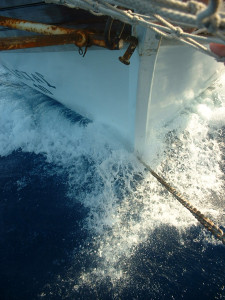 DSCF0205.JPG