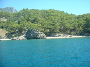 DSCF0265.JPG