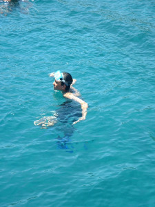 DSCF0275.JPG