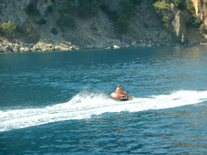 DSCF0286.JPG