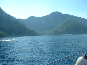 DSCF0310.JPG