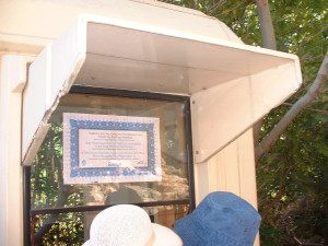 DSCF0312.JPG