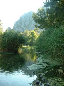 DSCF0316.JPG