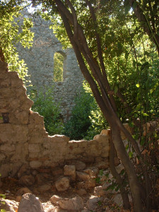 DSCF0317.JPG