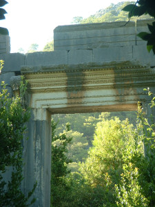 DSCF0318.JPG