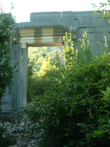 DSCF0319.JPG