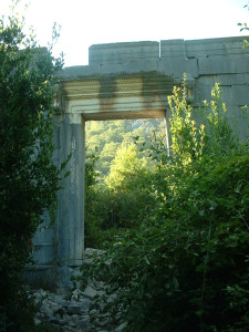 DSCF0320.JPG