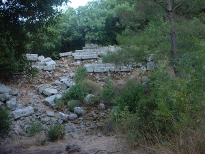 DSCF0328.JPG