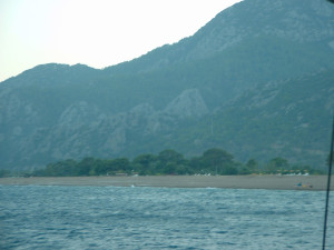 DSCF0331-1.JPG