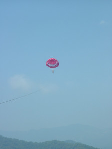 DSCF0353.JPG