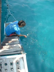 DSCF0405.JPG