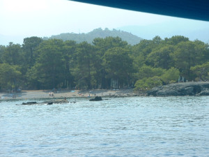 DSCF0412-1.JPG