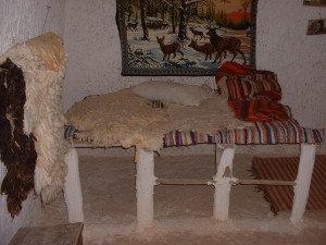 DSCF0035.JPG