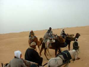 DSCF0062_edited.JPG