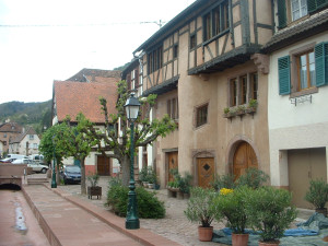 DSCF0011.JPG