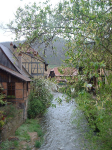 DSCF0037.JPG