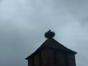 DSCF0039.JPG